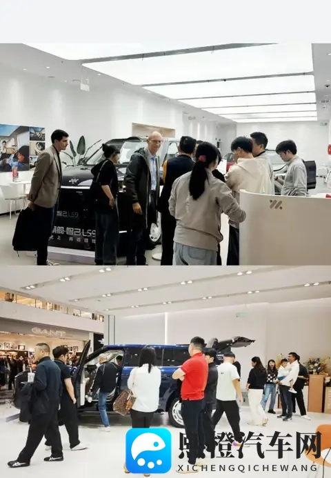 上汽旗舰智己LS9到店，看车队伍让销售倍感压力-3