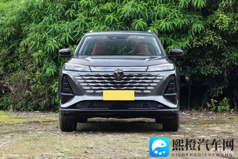 铜铜铜铜铜铜铜铜铜好大好深色：铜块色泽深沉，体积庞大引人注目-2