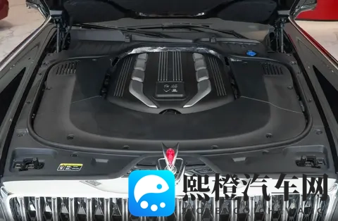 真国产豪华,这车也有钱未必能买到,气场比“劳斯”还强-2