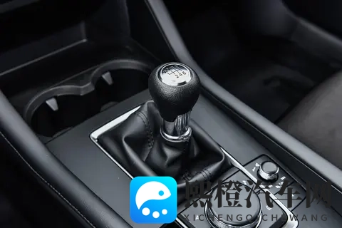 日本毛茸茸:汽车新潮流:揭秘舒适个性设计风-1