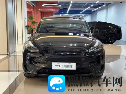 葵千恵激烈:科技新潮,神秘车型惊艳亮相,揭秘未来驾驶体验-3