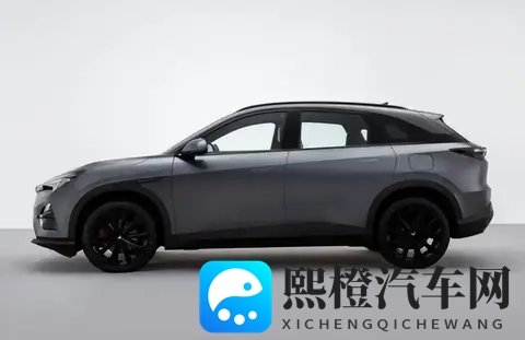 家庭投票!为啥都选全新极狐阿尔法t5?-1