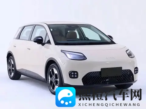 萤火虫终于有对手了,广汽_宁王_京东联合打造,最低499万起-3