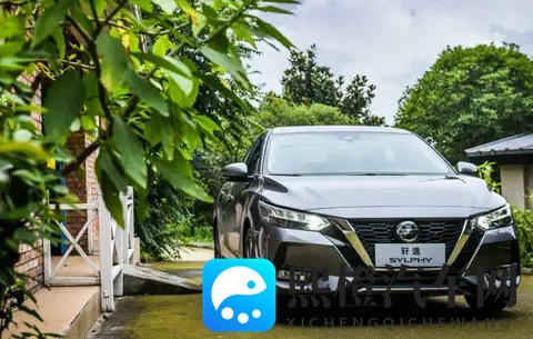 10月轿车销量解读：小、微型车名列前茅，燃油车表现抢眼-1