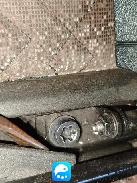 www免费视频在线观看播放：免费视频盛宴，随时在线观赏-2