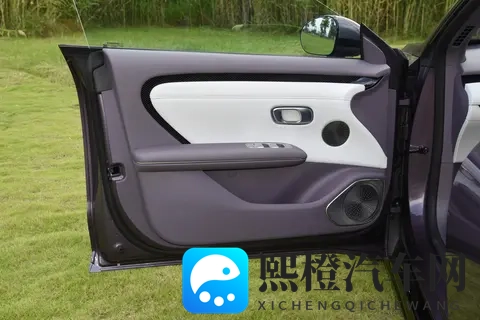 全新的纯国产TCR赛车将于下个月正式亮相-1