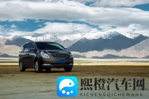 何小鹏称10年后中国汽车有五強-3