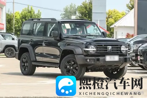 奇瑞三大件国产第一？长城用9DCT变速箱-2