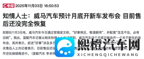 10W+威马车主“好事将近”？-2