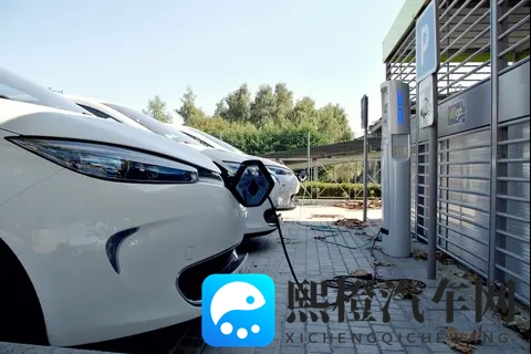 结局爽了！“劣质电”造谣者被抓，电力滤清器就是妥妥智商税-3