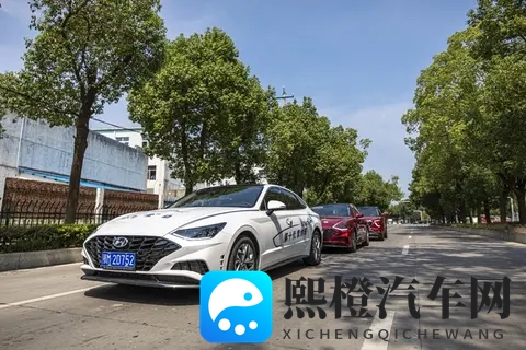 老太婆BBBBBB水多多：新能源汽车崛起，老车市场藏金量惊人，未来趋势如何？-1