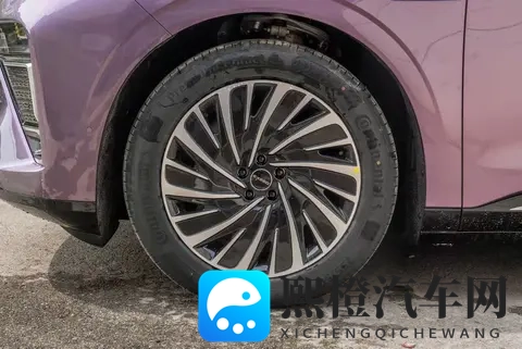 全家试驾星纪元ET,3000mm轴距真能装下幸福?全景天幕+飞鱼底盘-2