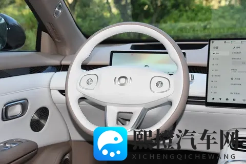 全球车小鹏X9 3098万元起售-1