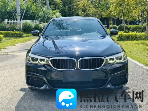 四年车龄,当年落地近50万,如今半价拿下宝马530Li-3