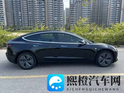 10万出头,圆你特斯拉梦!20款Model3代步优选-1