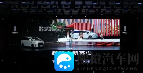 魏建军实话见效,魏牌10月销量同比猛增95%,高山反超腾势D9!-3