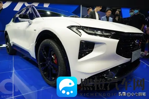 这么漂亮的车，在中国打不开市场，可惜了-2