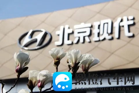 暴涨 87%!北京现代 10 月卖 2 万台,网友质疑:现在还有人买现代吗?-3