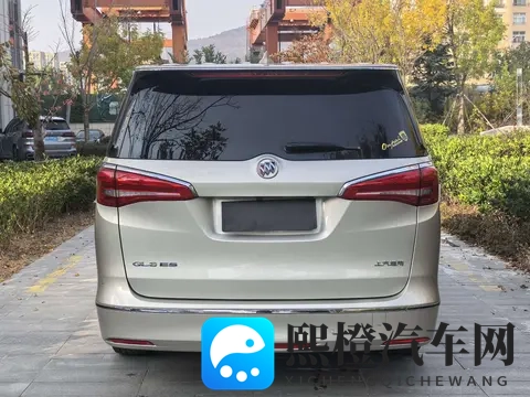 宜商宜家好选择，19年别克GL8，12万多带走-1