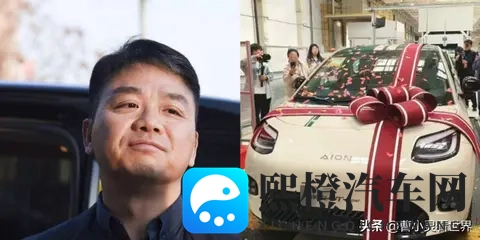 刘强东卖车499万，雷军慌了？-1