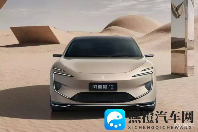 婷婷综合网站：新能源汽车补贴调整，市场未来可期-1