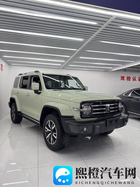 16万多拿下坦克300，圆你硬派越野梦-1