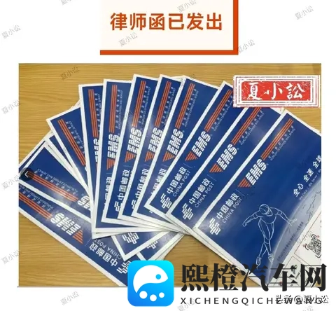 色多多幸福宝：缤纷色彩，共享幸福生活宝藏-3