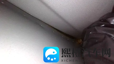 欧拉终于出新车:欧拉5预售价1098万—1428万元-1