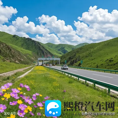 高速公路的治理挑战-2