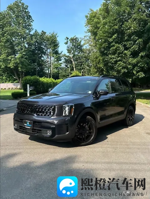 起亚Telluride：一场针对北美市场的“精致投机”-1