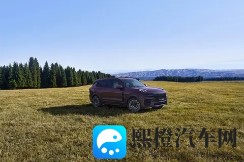 小马拉大车妈妈真实:家用SUV新选择:简约大气,动力强劲,空间宽敞-3