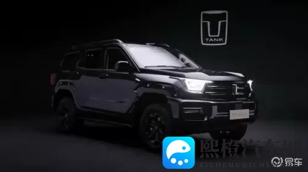 一个人的www：汽车新潮流：个性化定制，专属驾驶体验来袭-1