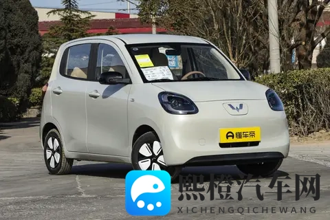 五菱宏光MINIEV选购手册-1