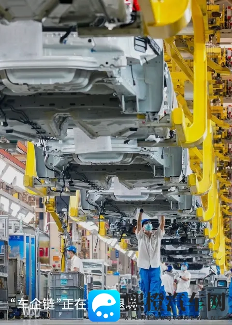 五月丁香六月婷婷久久:五月绽放丁香花,六月婷婷香久留-3