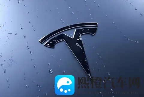 特斯拉成简配“鲶鱼”,中国品牌如何应对?-2