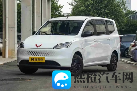 五菱又推燃油车，价格杀到5万内，老百姓真需要它吗？-2