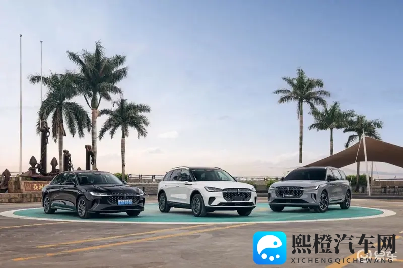 豪华、高性能、大空间、省油，一辆车就能全部满足！-1