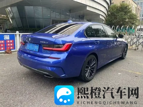 东北老太WWW:复古新潮,高效环保,这款车型成市场新宠-2