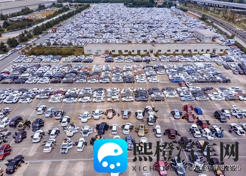 倒闭车企“烂尾车”受年轻人青睐，独特消费观引热议-3