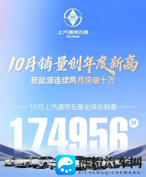 政策因素推动车市分化,主流车企增长乏力,新势力纯电动销量大涨-1