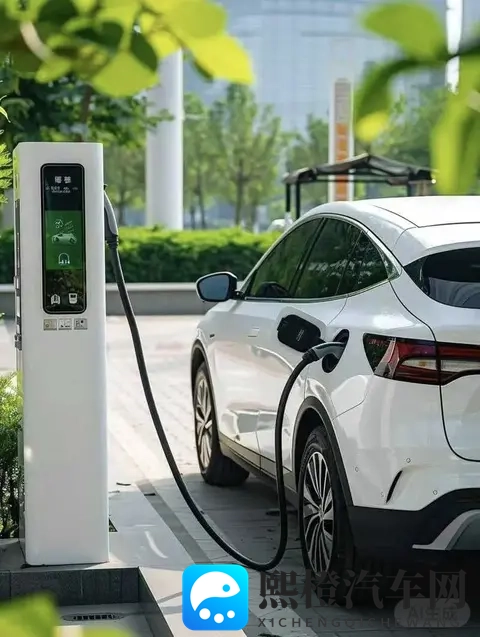 续航腰斩、排队充电,谁在硬撑?-1