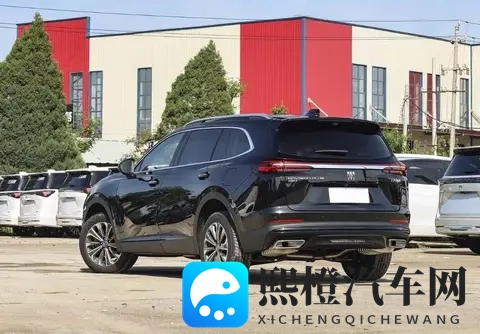 张婉莹自慰：娱乐圈张婉莹私密生活曝光，引发公众热议-2