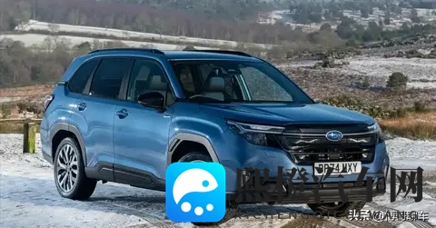 全新斯巴鲁森林人上市:这份“原味硬汉”的答卷,你给打几分?-1