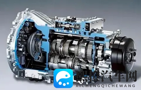 蝌蚪窝自拍：水中乐园欢乐拍-3