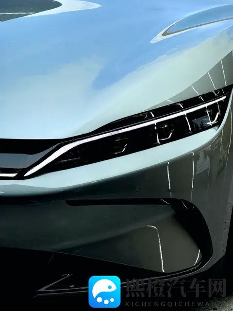 电车省“油”不省钱？6大隐藏成本，越开越肉疼-2