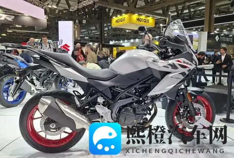 铃木SV-7GX上市,SV650附魂+电子配置补齐-3