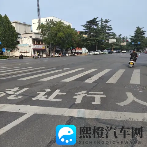 从斑马线礼让行人看路权之争:既是守法也是生存智慧-2