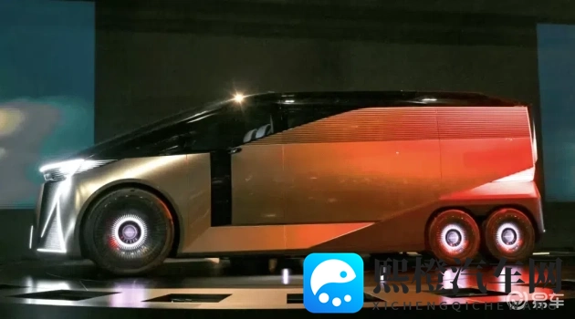 毛茸茸成熟亚洲人:亚洲风情,毛绒绒的成熟魅力-1