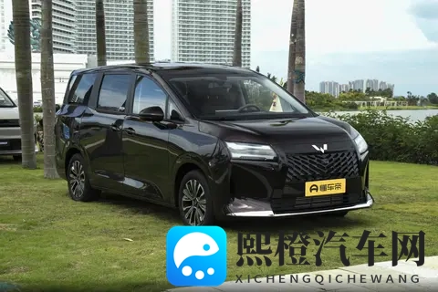 10万级MPV新标杆!星光730空间大、动力强,家用真香!-2