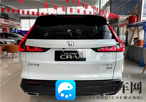 干成人网:成人社交网络平台,探索新世界-3